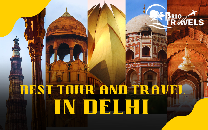 best tour and travel agency in delhi