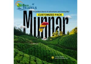 A Guide to Visiting Munnar in Spring