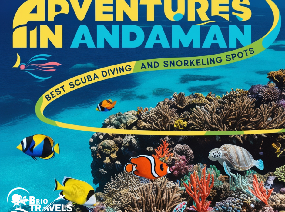 Andaman tour package