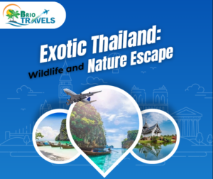 Thailand tour package