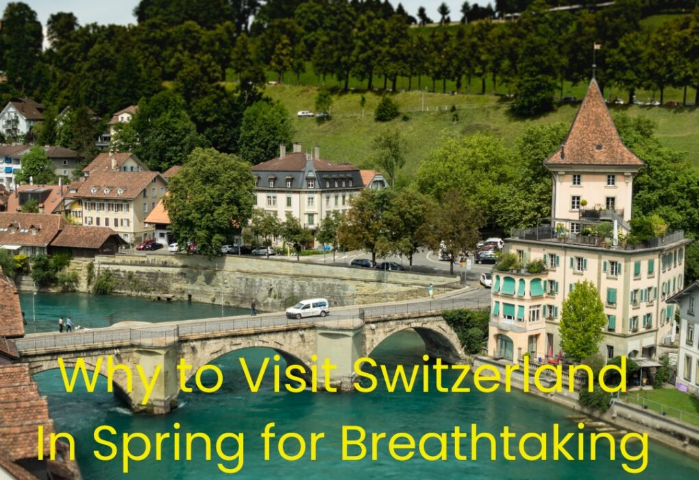 Switzerland tour