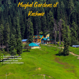 Mughal Gardens of Kashmir