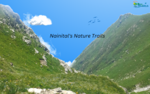 Nainital's Nature Trails