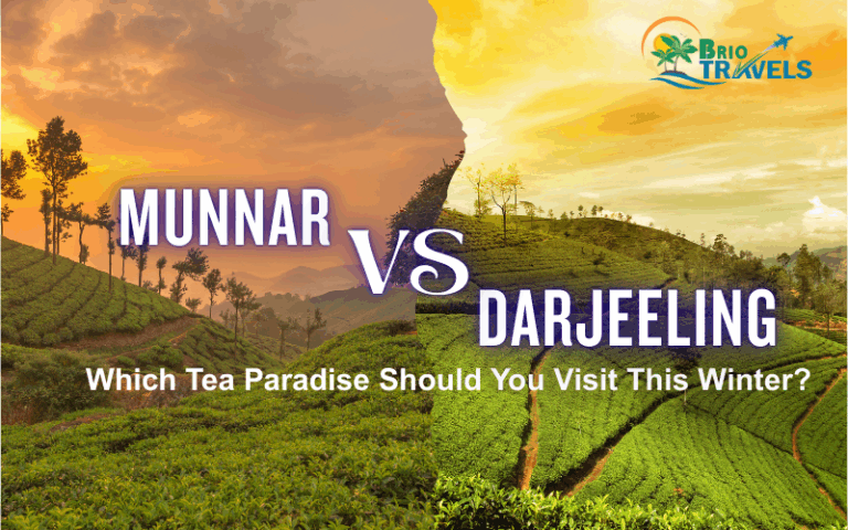 Munnar Vs Darjeeling: Best winter tea destination