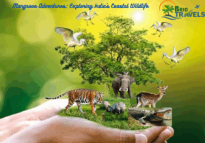 Mangrove Adventures: Exploring India’s Coastal Wildlife