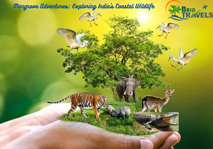 Mangrove Adventures: Exploring India’s Coastal Wildlife