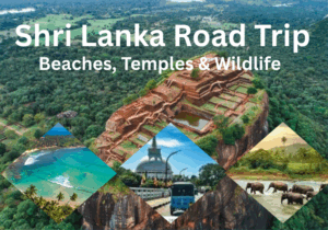Al- Shri Lanka Road Trip