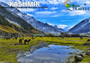 kashmir-tour-packages