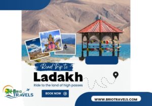 Ladakh winter road trip