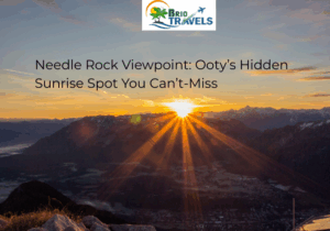 Needle Rock Viewpoint: Ooty’s Hidden Sunrise Spot You Can’t Miss