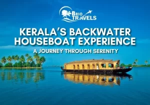 kerala backwaters houseboat experience