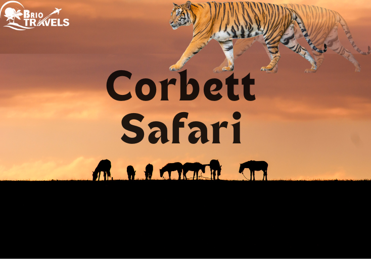 Corbett Safari
