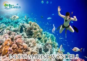India Marine Wonders