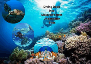 Malaysia Diving