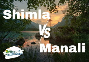 shimla vs manali brio travels agency