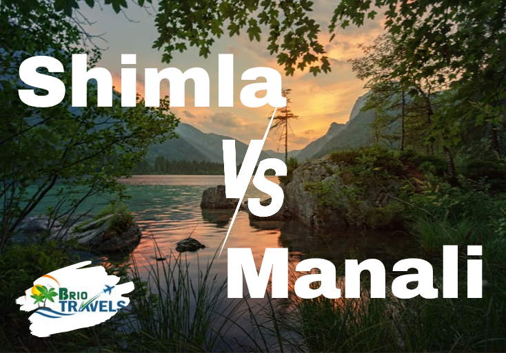 shimla vs manali brio travels agency