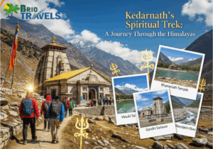 Kedarnath Trekking