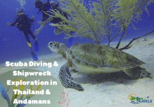Scuba Diving & Shipwreck Exploration in Thailand & Andamans with an underwater image of a turtle, divers, and coral.