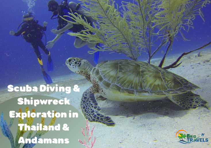 Scuba Diving & Shipwreck Exploration in Thailand & Andamans with an underwater image of a turtle, divers, and coral.