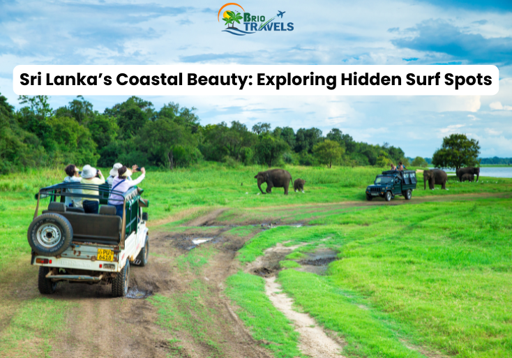 Sri Lanka’s Coastal Beauty: Exploring Hidden Surf Spots