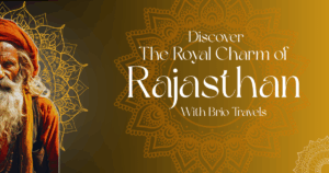 Majestic forts and palaces in Rajasthan showcasing royal heritage
