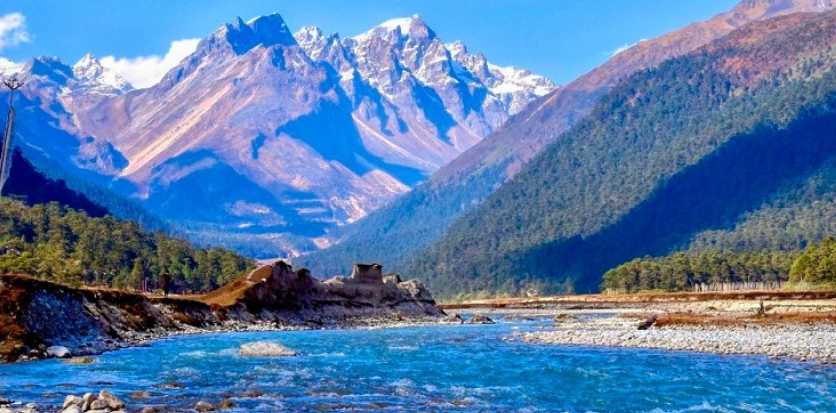 Rhododendron blossoms and snow in Yumthang Valley Sikkim – alpine spring destination in Northeast India.an offbeat place like Switzerland in India