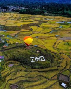 Ziro Valley in Arunachal Pradesh covered with green rice fields and pine trees