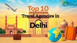 Brio Travels best travel agency in Delhi