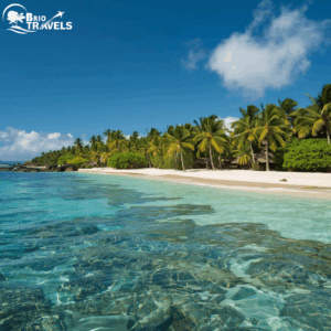 Indian travelers enjoying international vacation with Brio Travels