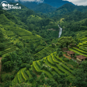 Coorg – one of the best honeymoon destinations in India known for its coffee plantations and misty hills