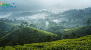 Munnar – The Misty Hills , Munnar Tour Packages