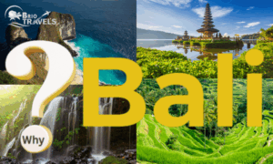 Why choose Bali