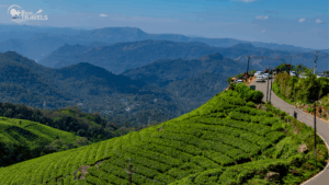 Scenic view of rolling tea plantations in Munnar with winding roads, mountains in the background, and tourists enjoying the landscape.”