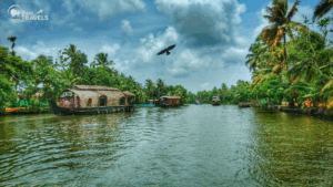 A traditional Kerala houseboat cruising through the lush green Alleppey backwaters surrounded by leaning coconut trees and calm water, with the Brio Travels logo placed on the image.