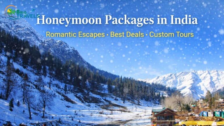 "Promotional graphic for Brio Travels showcasing 'Honeymoon Packages in India,' set against a snowy mountain landscape with pine trees and cozy buildings. Snowflakes fall gently, enhancing the romantic winter ambiance. Text highlights 'Romantic Escapes,' 'Best Deals,' and 'Custom Tours' for couples seeking scenic getaways. Honeymoon in India