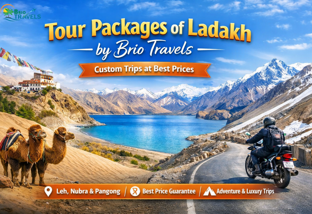 Tour Packages of ladakh by Brio Travels