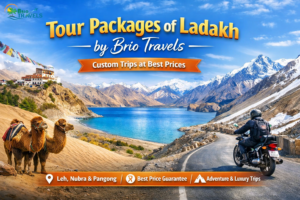 Tour Packages of ladakh by Brio Travels
