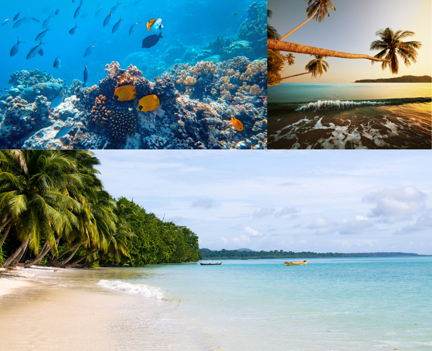 9. Andaman coral reefs snorkeling—Maldives-style beaches, no crowds